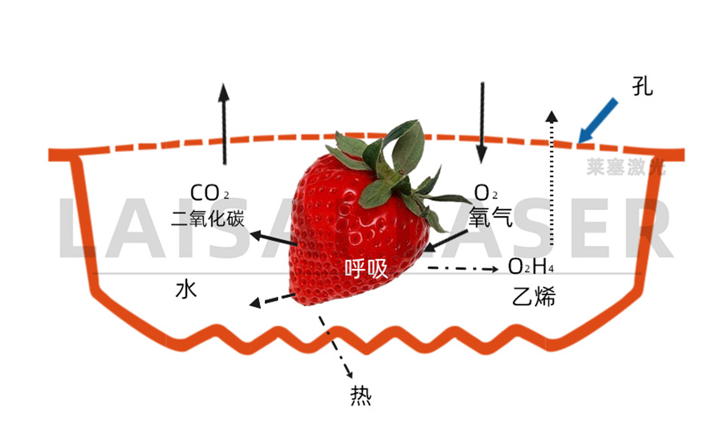 激光打孔??氣調(diào)果蔬保鮮包裝運用方案