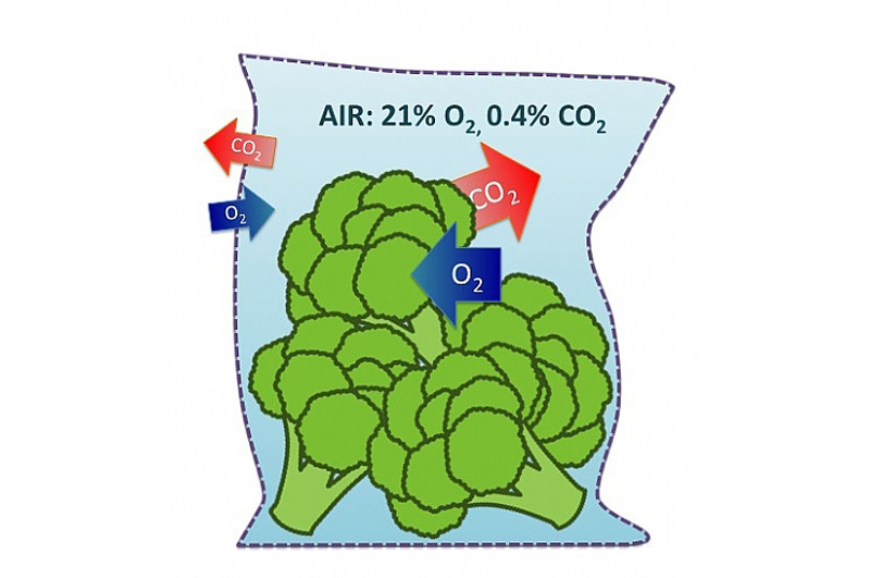 氣調(diào)果蔬保鮮打孔 激光打孔??氣調(diào)果蔬保鮮包裝運(yùn)用方案(圖1)